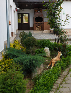 Gratar_pensiune_casa_elena