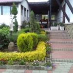 curte-22