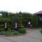 curte-3